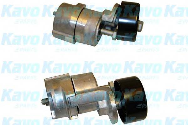 KAVO PARTS DTP-3006 Натяжний ролик, полікліновий