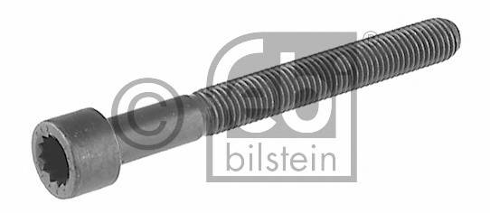 FEBI BILSTEIN 07978 Болт головки цилідра