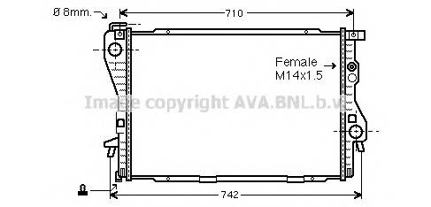 AVA QUALITY COOLING BW2176 Радиатор, охлаждение двигателя