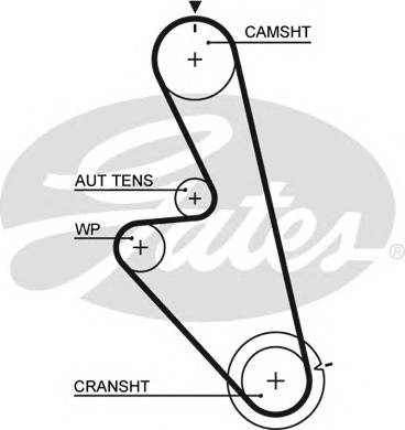 GATES 5449 Ремень ГРМ