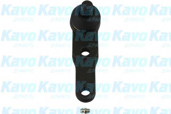 KAVO PARTS SBJ-1005 Несущий / направляющий