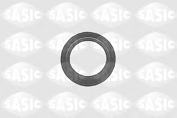 SASIC 1213093 Уплотняющее кольцо, дифференциал