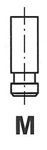 FRECCIA R6175/SNT Впускной клапан