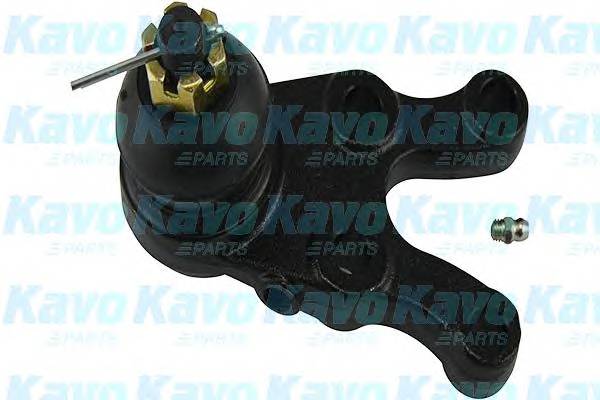 KAVO PARTS SBJ-5507 купити в Україні за вигідними цінами від компанії ULC