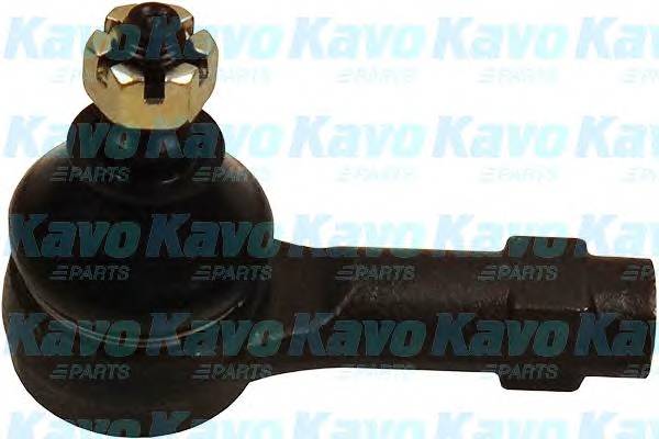 KAVO PARTS STE-5502 купити в Україні за вигідними цінами від компанії ULC