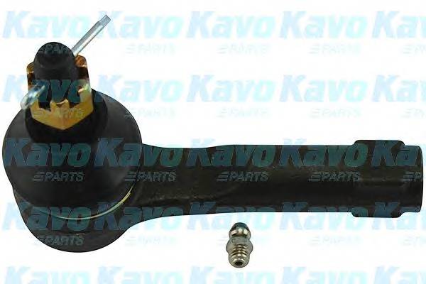 KAVO PARTS STE-5519 купити в Україні за вигідними цінами від компанії ULC