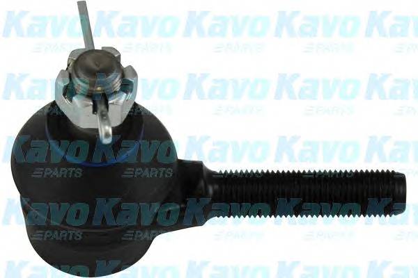 KAVO PARTS STE-8502 купити в Україні за вигідними цінами від компанії ULC