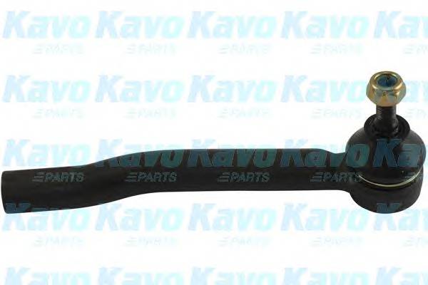 KAVO PARTS STE-6631 купити в Україні за вигідними цінами від компанії ULC